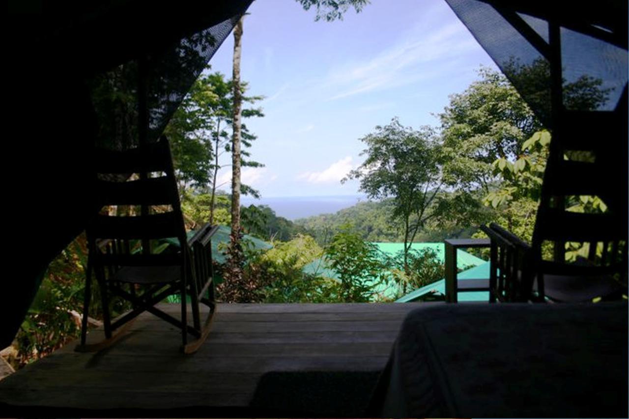 Luna Lodge Carate Pokoj fotografie