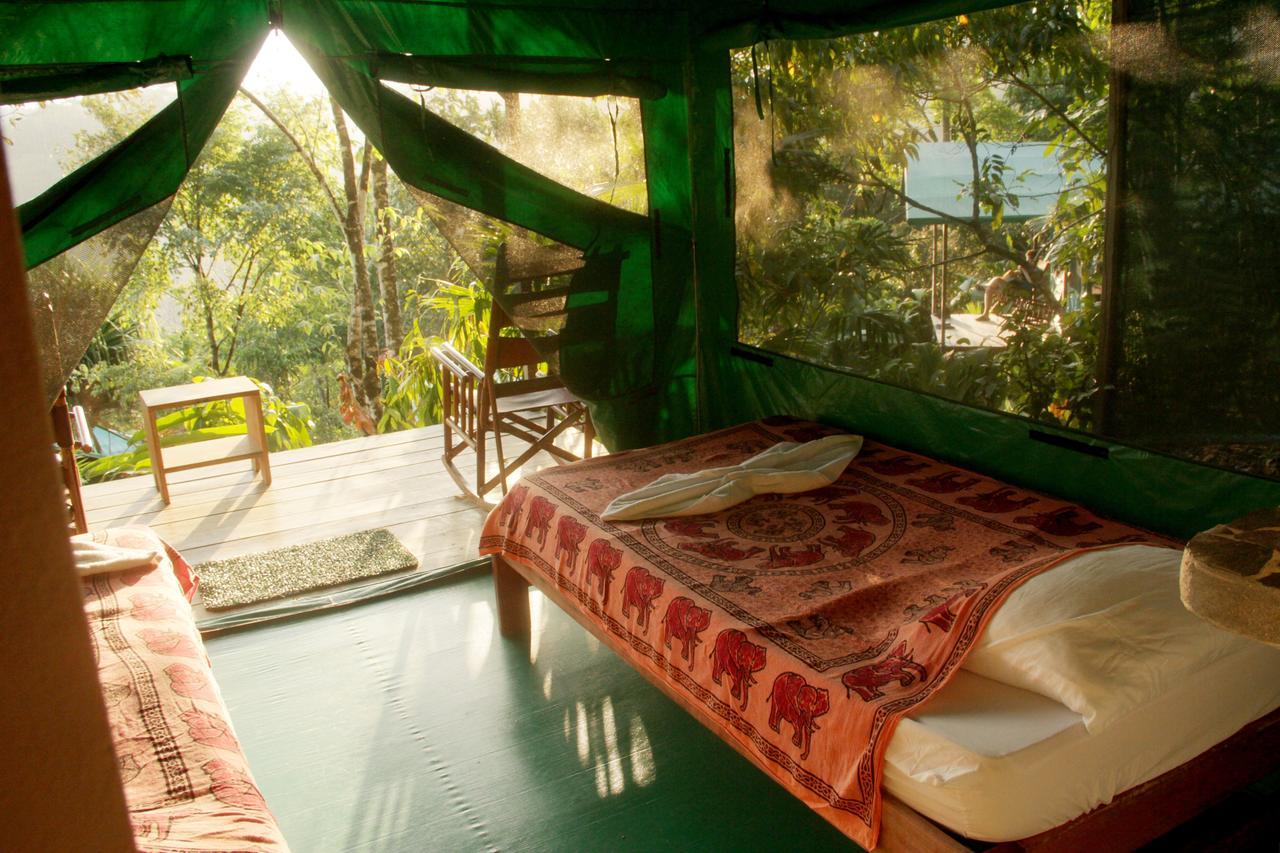 Luna Lodge Carate Pokoj fotografie